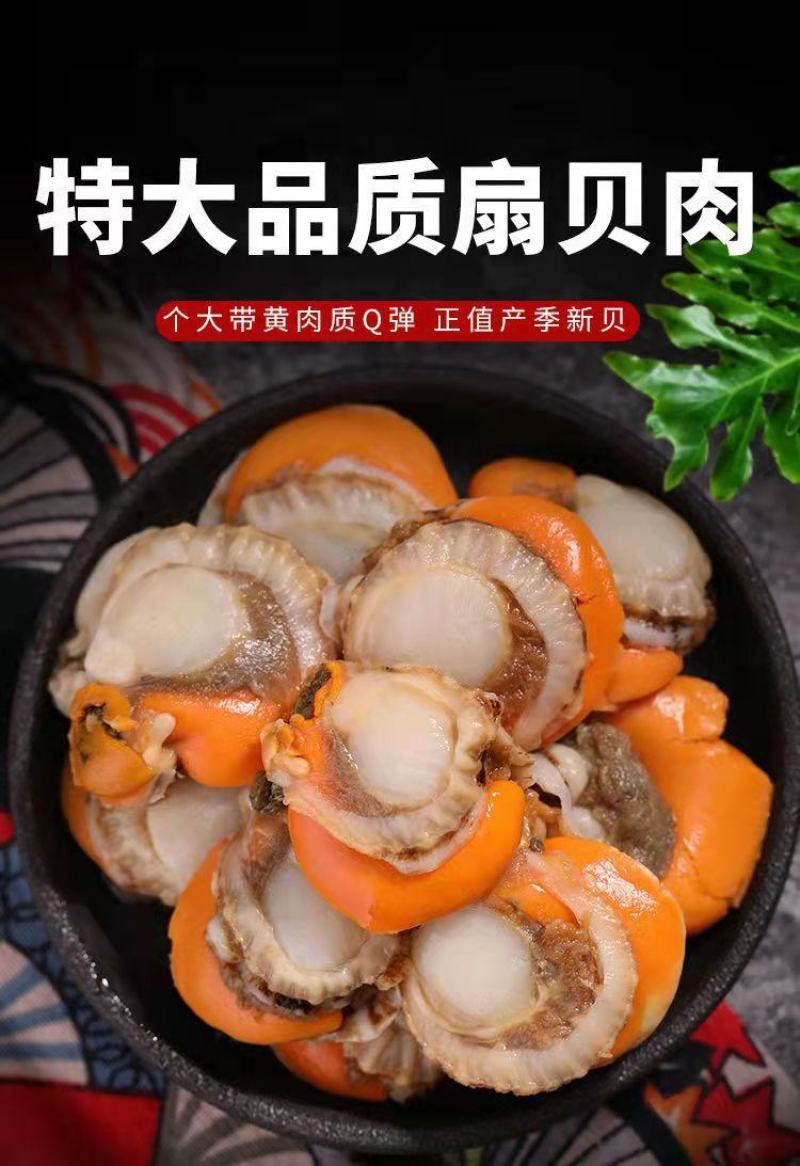 带黄带膏现剥扇贝肉冻货无冰鲜活新鲜冷冻特大扇贝肉真空包装
