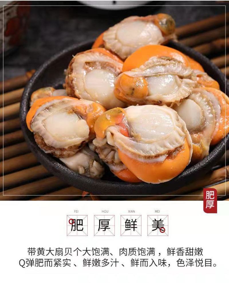 带黄带膏现剥扇贝肉冻货无冰鲜活新鲜冷冻特大扇贝肉真空包装