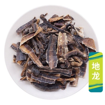 批发现货地龙广地龙蚯蚓干中药材大全量大从优