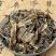 批发现货地龙广地龙蚯蚓干中药材大全量大从优