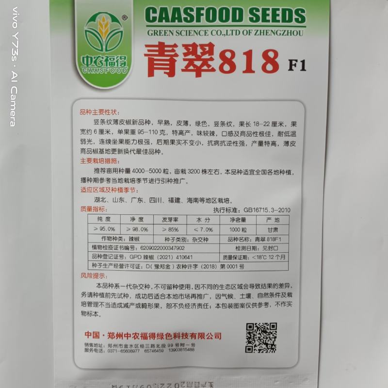 青翠818竖条纹薄皮辣椒种子早熟抗病抗逆高产耐低温弱光
