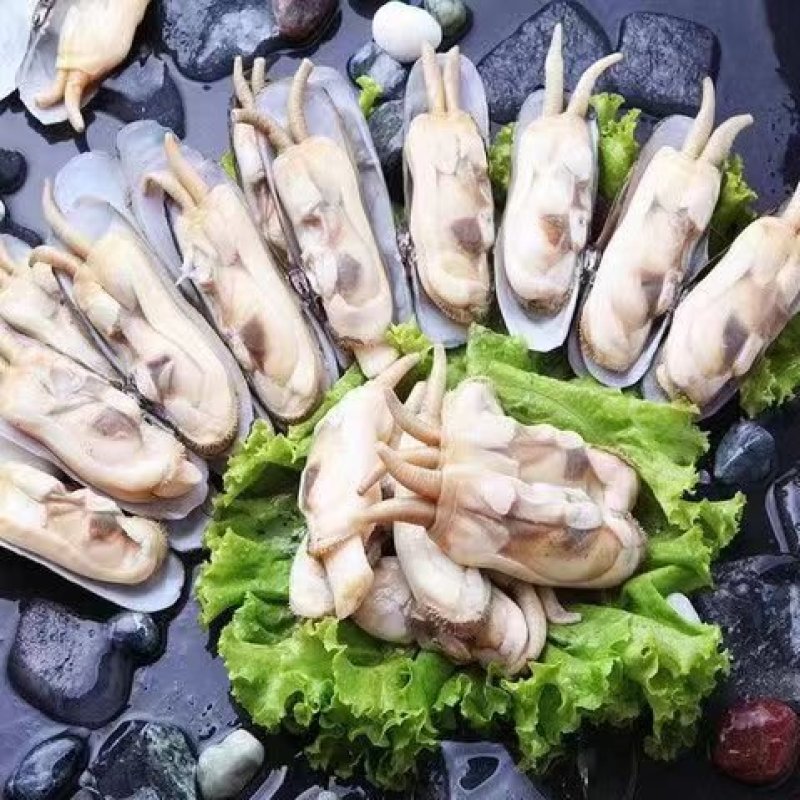 双头蛏！小人蚬当地人现挖现卖！速冻发货！自产自销无差价