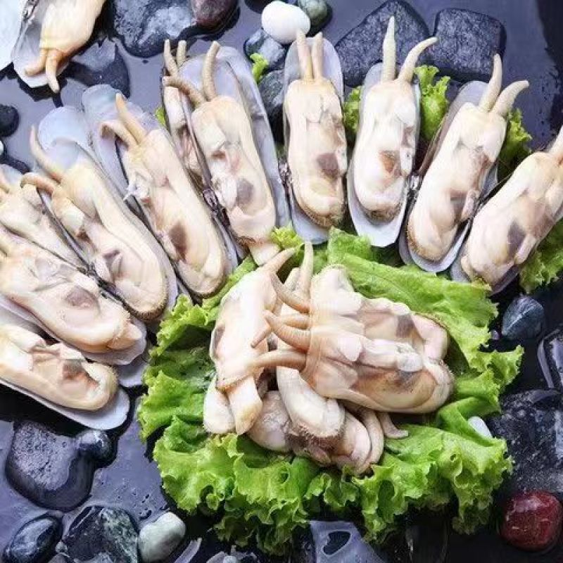 双头蛏！小人蚬当地人现挖现卖！速冻发货！自产自销无差价