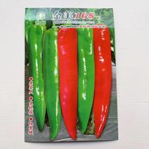 金美168青红两用尖椒种子绿皮辣椒种子早熟耐热牛羊角椒