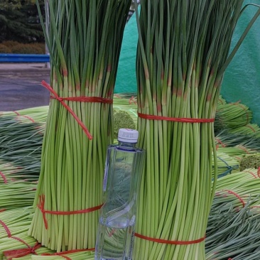 4月5号，中牟红帽蒜苔产地大量供应，有要货的的老板联系