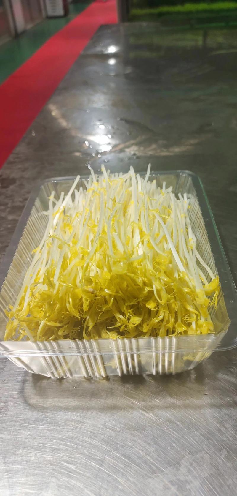 芽苗菜豌豆苗花生芽香椿苗萝卜苗