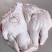 猪副产品
