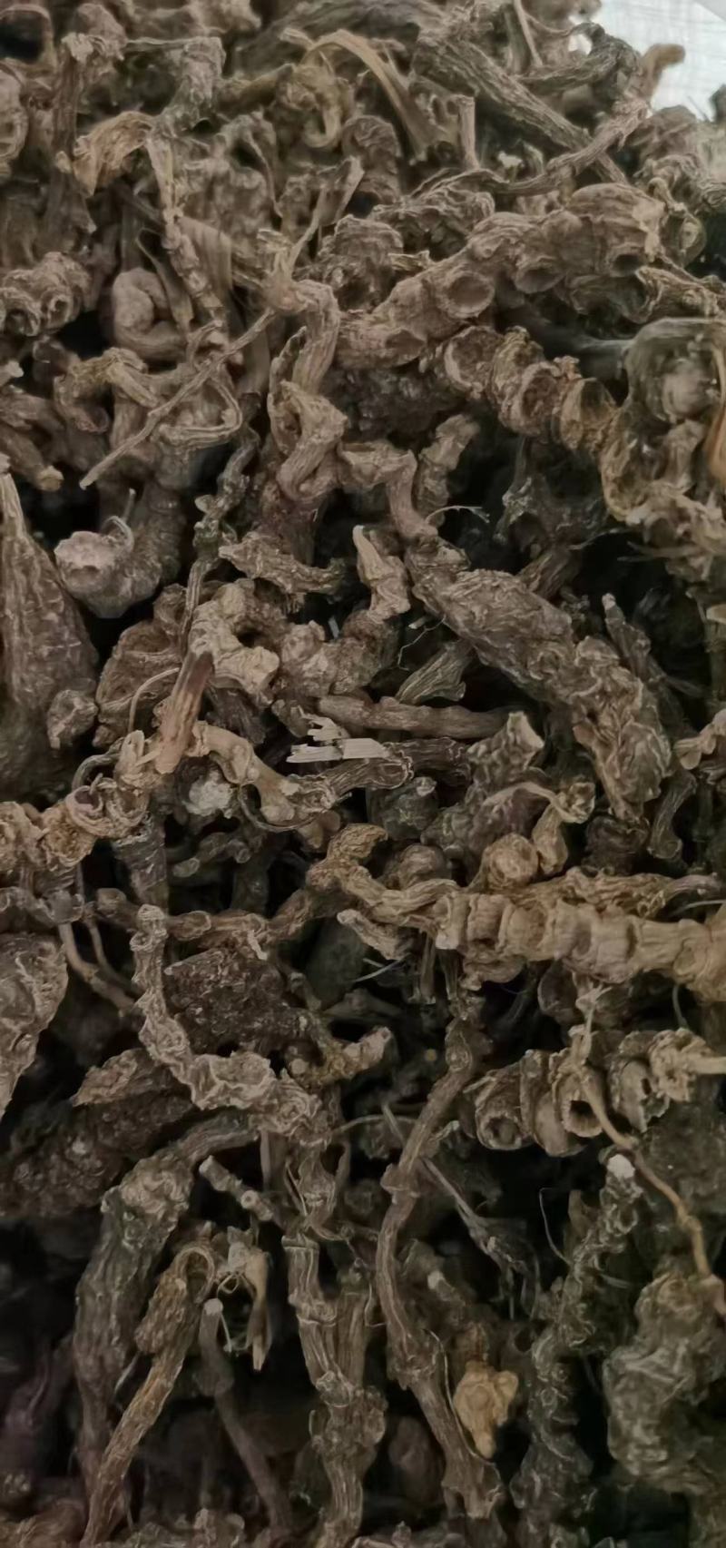 竹节参才三七朱三参