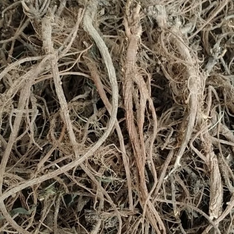 出售野菜，水果，洋槐花。