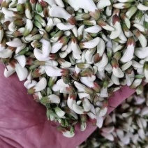 出售野菜，水果，洋槐花。