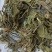 大青叶，干净无杂，规各齐全，大货供应，全国发货
