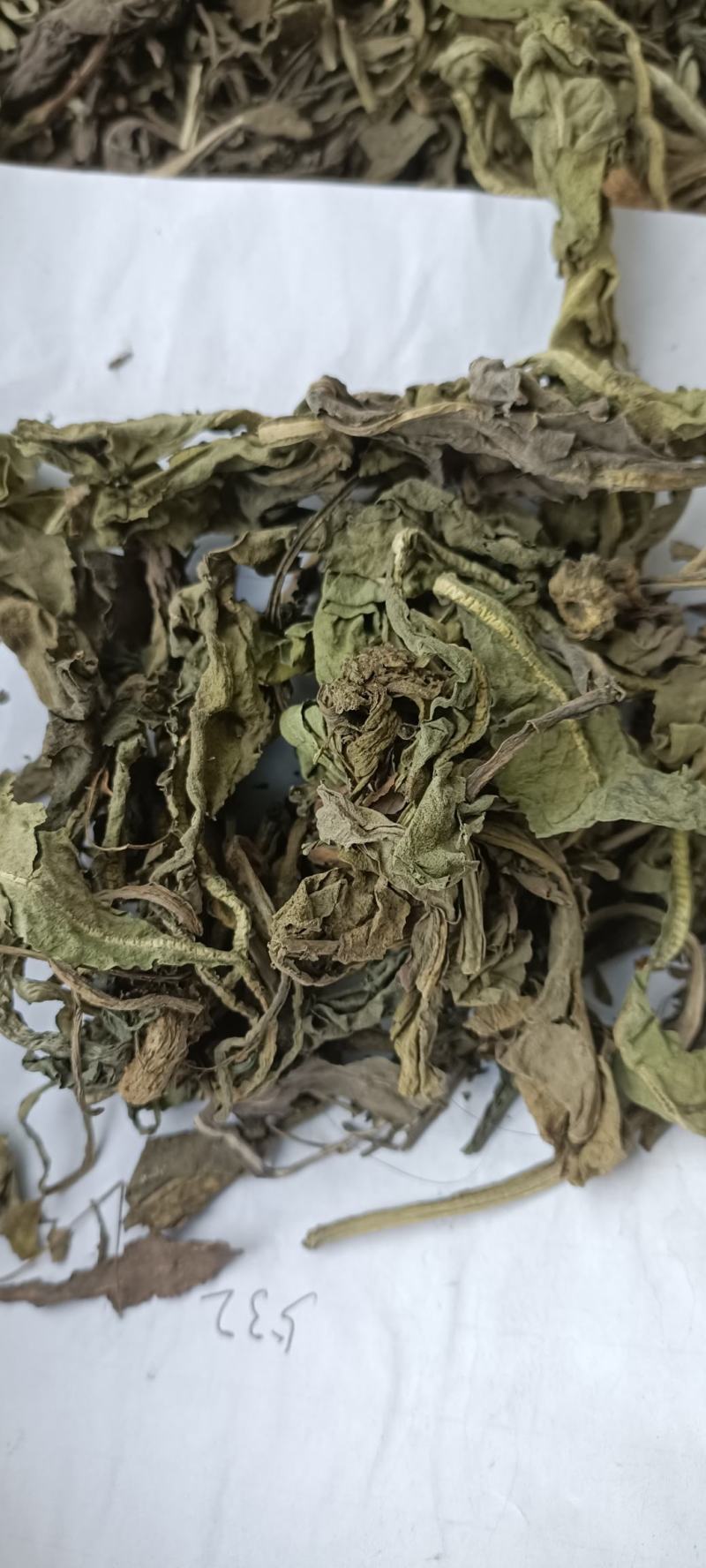 大青叶，干净无杂，规各齐全，大货供应，全国发货