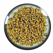 野菊花茶小野菊花中药材大别山野菊花无硫新货野菊花
