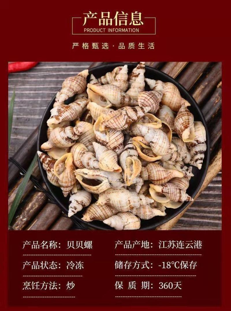 白玉螺新鲜速冻海瓜子贝贝螺红枣螺白灼红烧捞汁海鲜水产批发