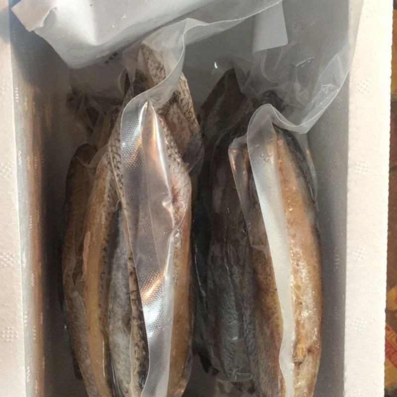 霞浦原产地鮸鱼干海边鱼排晒干腌制晒干