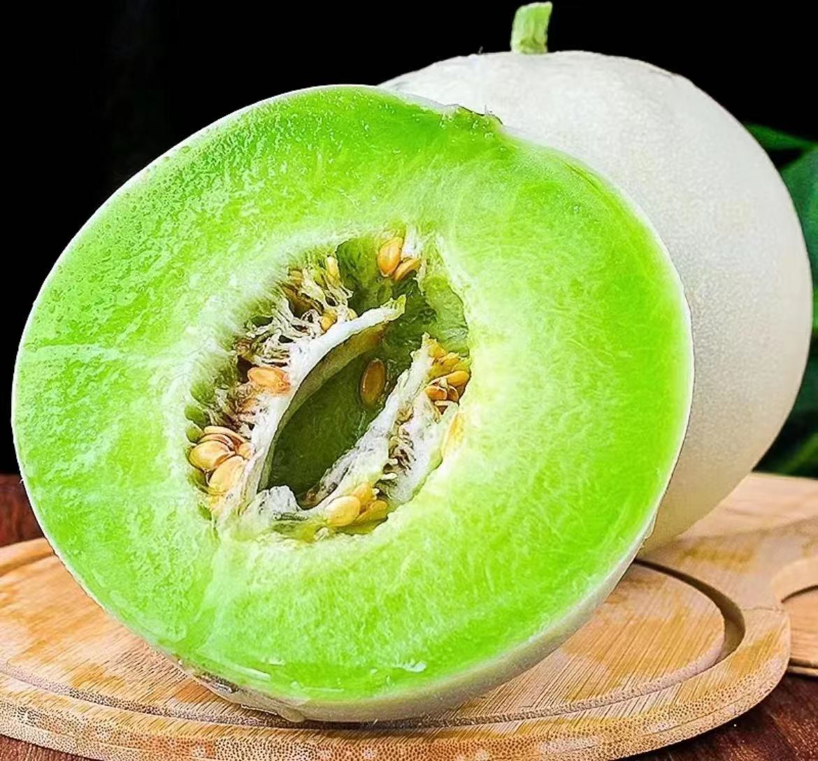 玉菇甜瓜特写