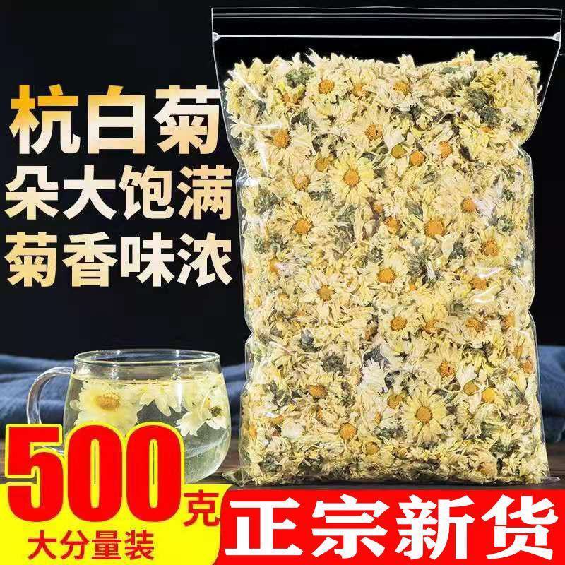 杭白菊大朵菊花茶批发桐乡新货杭白菊去火代用花杭白菊