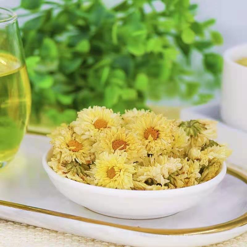 杭白菊大朵菊花茶批发桐乡新货杭白菊去火代用花杭白菊