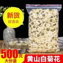 白菊花茶500克黄山贡菊花菊花茶散装泡水