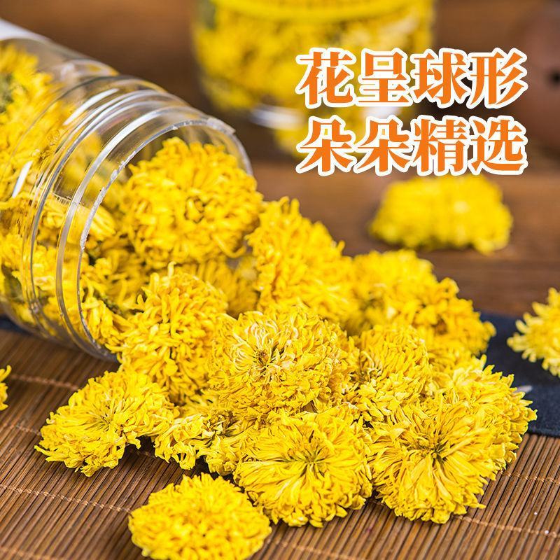 怀菊焦作温县怀菊茶怀菊花批发包邮