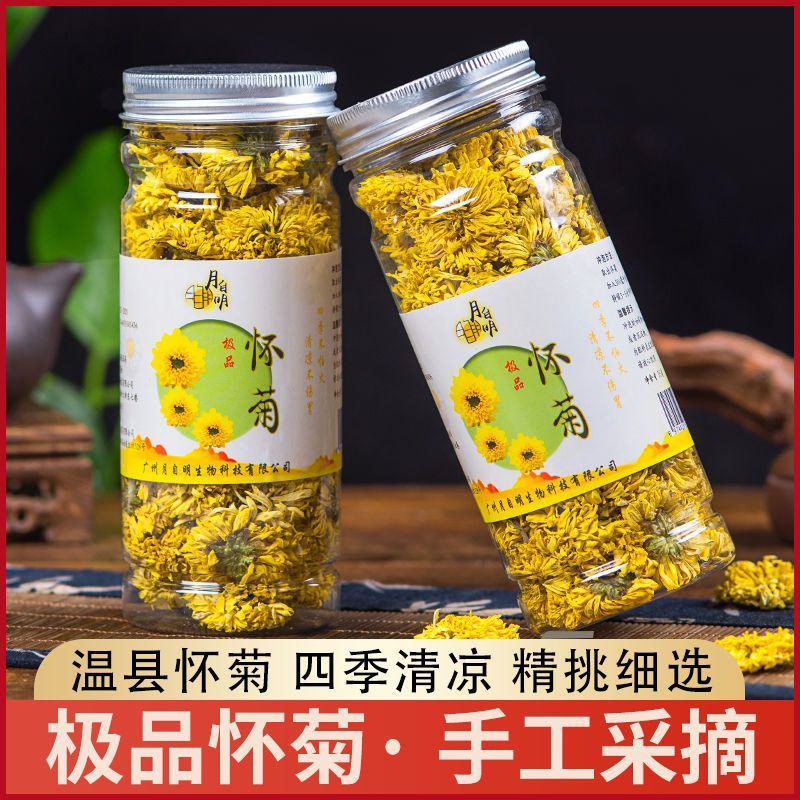 怀菊焦作温县怀菊茶怀菊花批发包邮