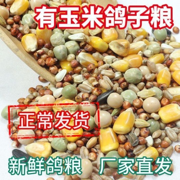 50斤鸽子粮喂鸽子粮食营养饲料鸟食幼鸽信鸽赛鸽肉鸽成鸽粮