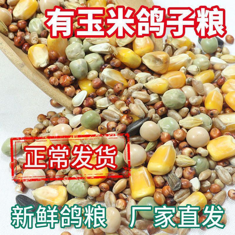 50斤鸽子粮喂鸽子粮食营养饲料鸟食幼鸽信鸽赛鸽肉鸽成鸽粮
