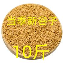 10斤新黄谷子带壳小米鸟粮