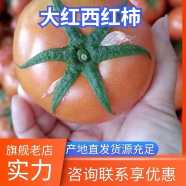 大红西红柿萼片好硬度好承接社区团购、超市、市场