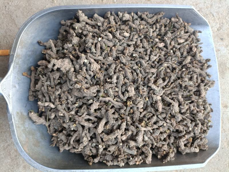 天葵子，别名千年老鼠屎，水洗烘干，干净无杂，产地批发