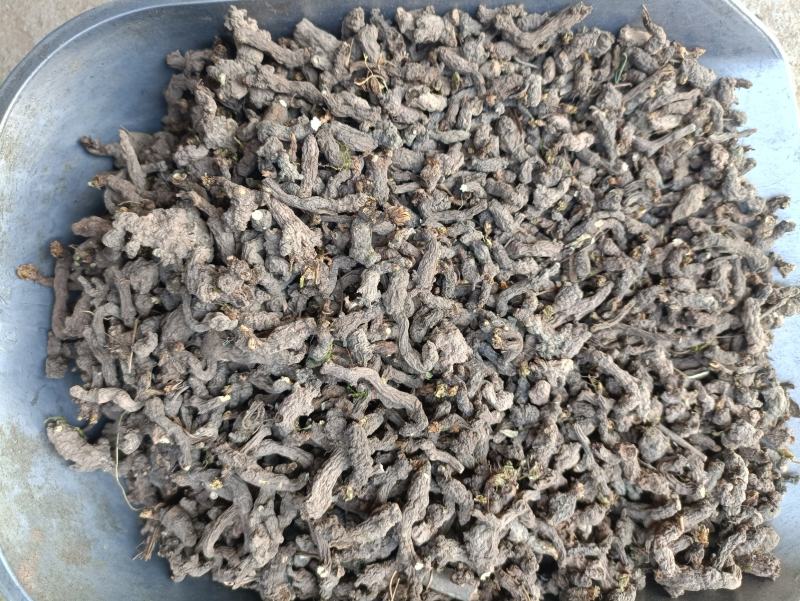 天葵子，别名千年老鼠屎，水洗烘干，干净无杂，产地批发