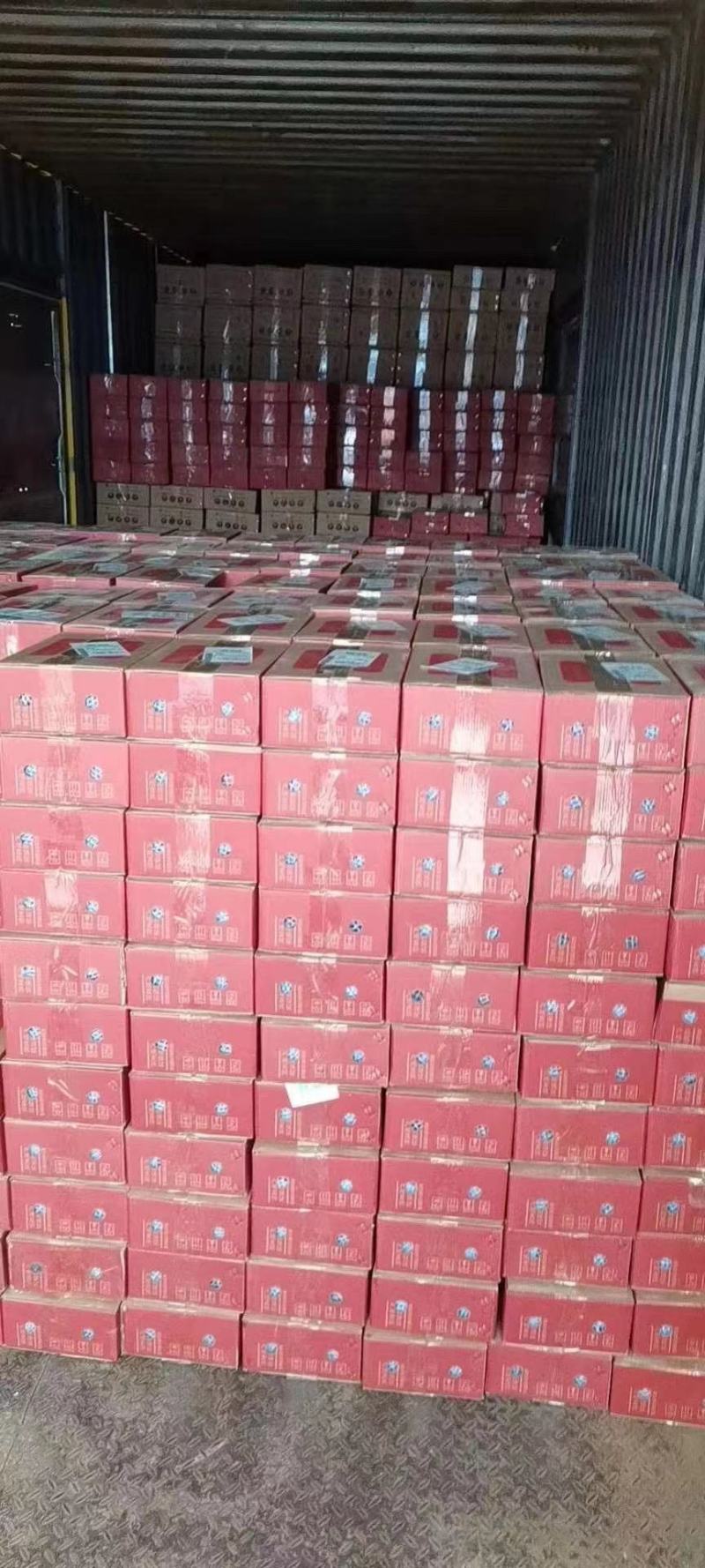 （老树八盘梨）一件代发甘肃省大山里的老树八盘梨