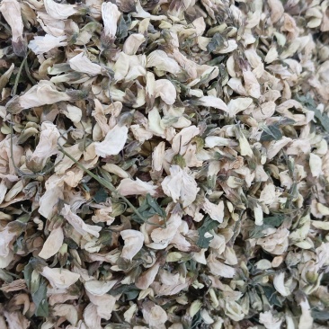 烘干洋槐花，有大货。