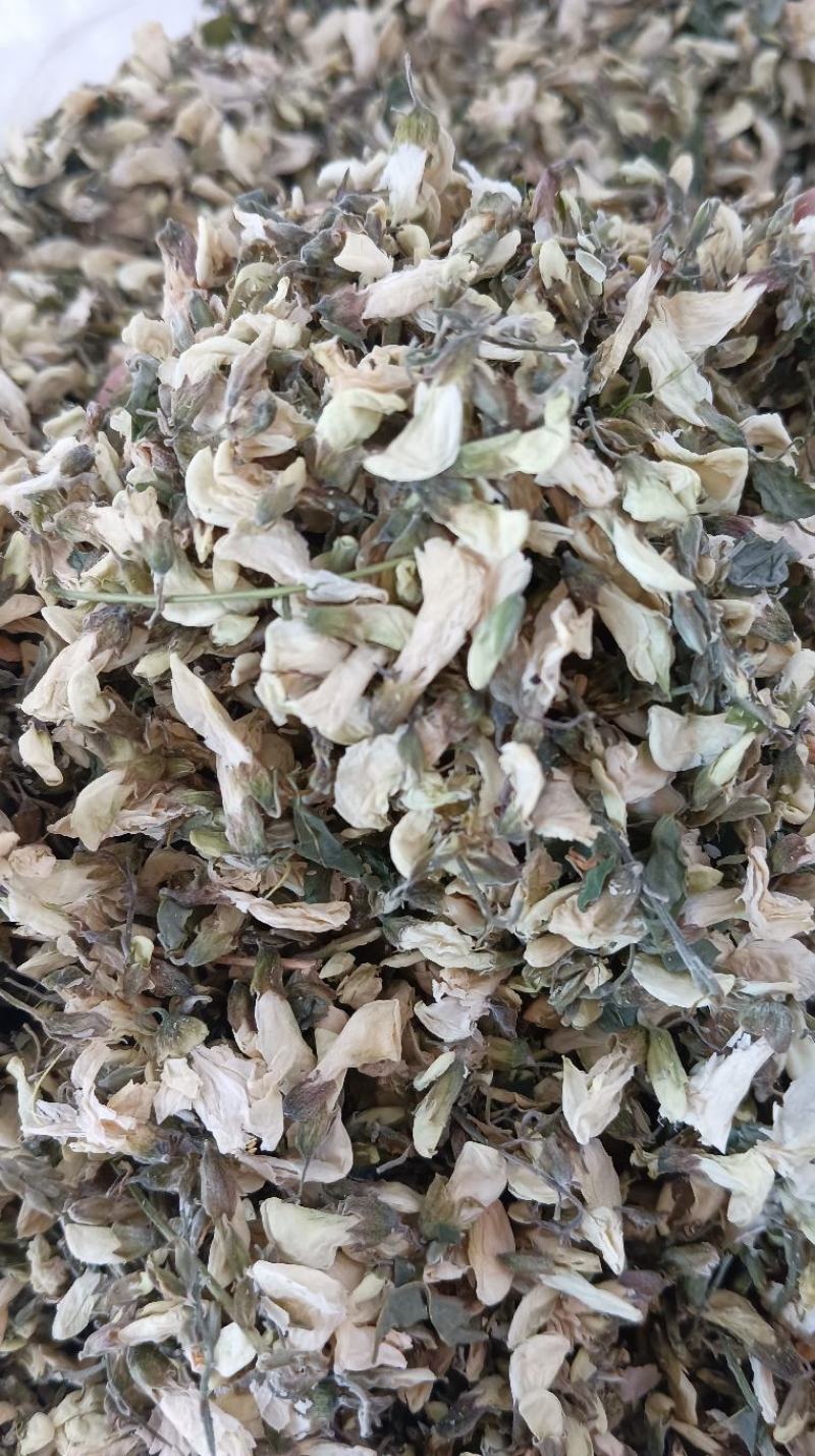 烘干洋槐花，有大货。