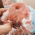 猪鼻子猪拱嘴
