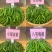 高端生态和黄贡椒