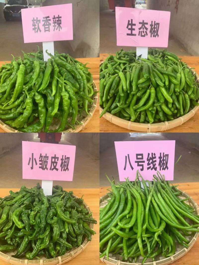 高端生态和黄贡椒