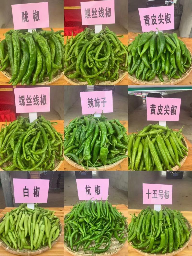 高端生态和黄贡椒