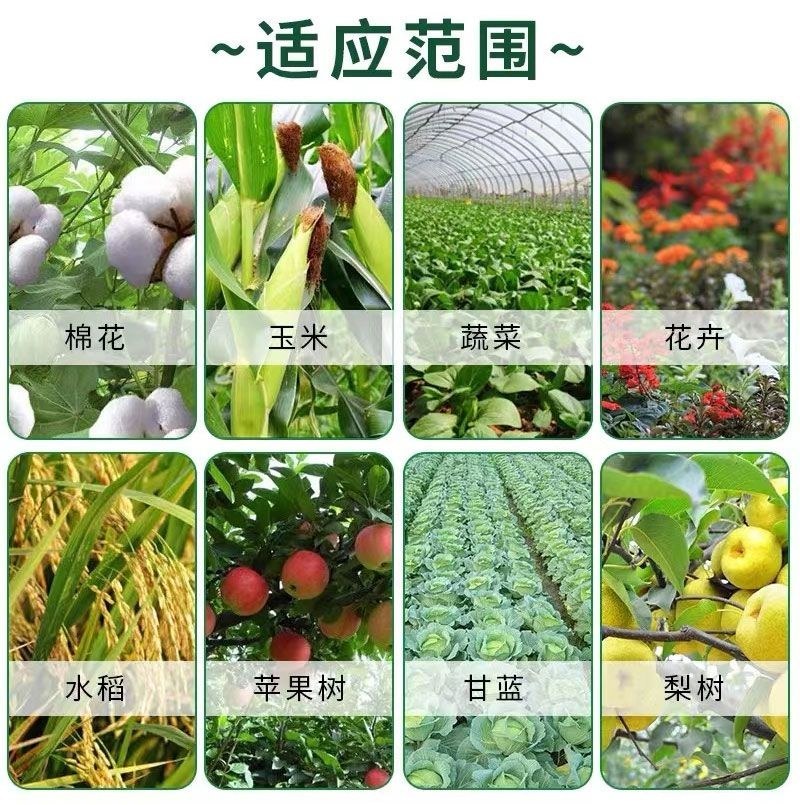 世科姆诺凡霜脲氰嘧菌酯葡萄霜霉病苦瓜芋头西葫芦疫病农药杀