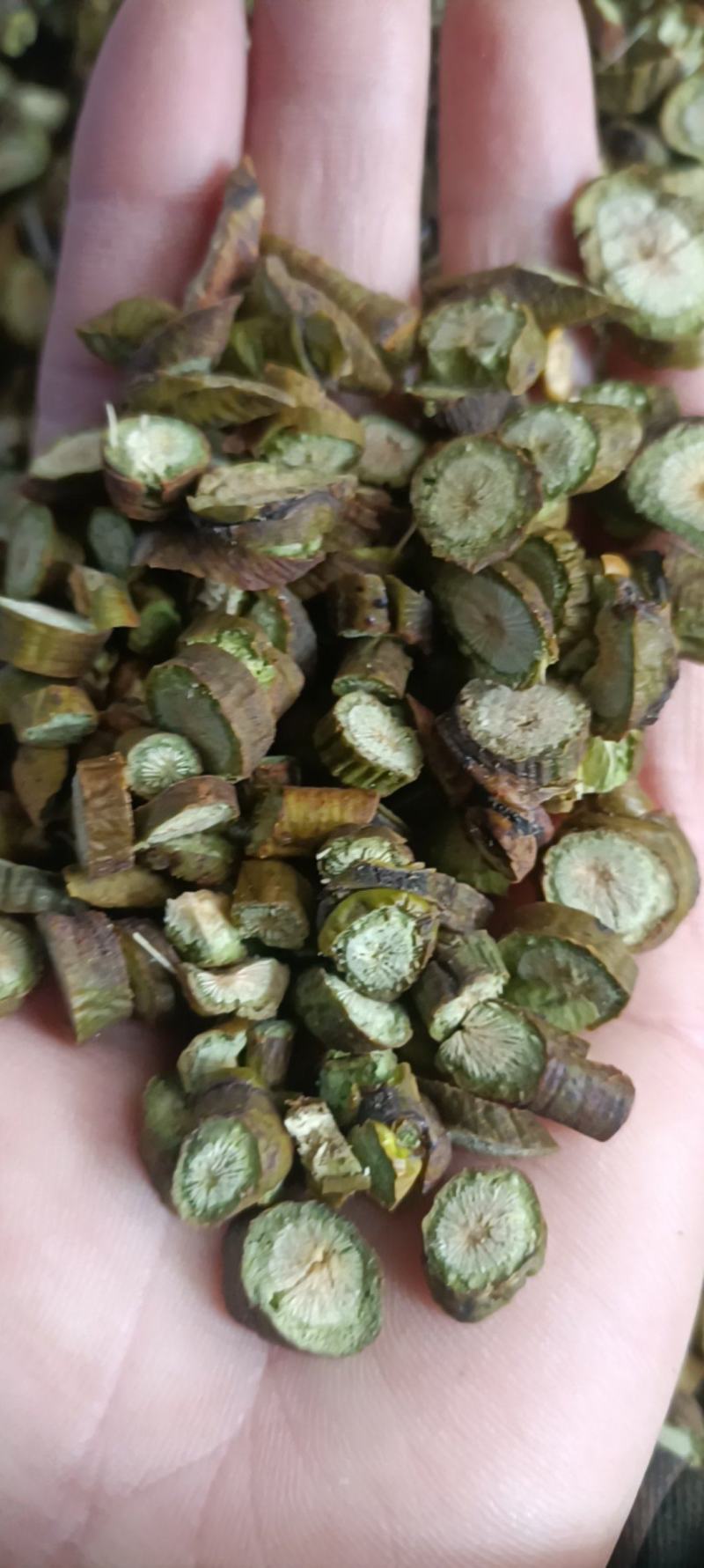 槲寄生，过筛，足干无杂质，货源充足，欢迎选购