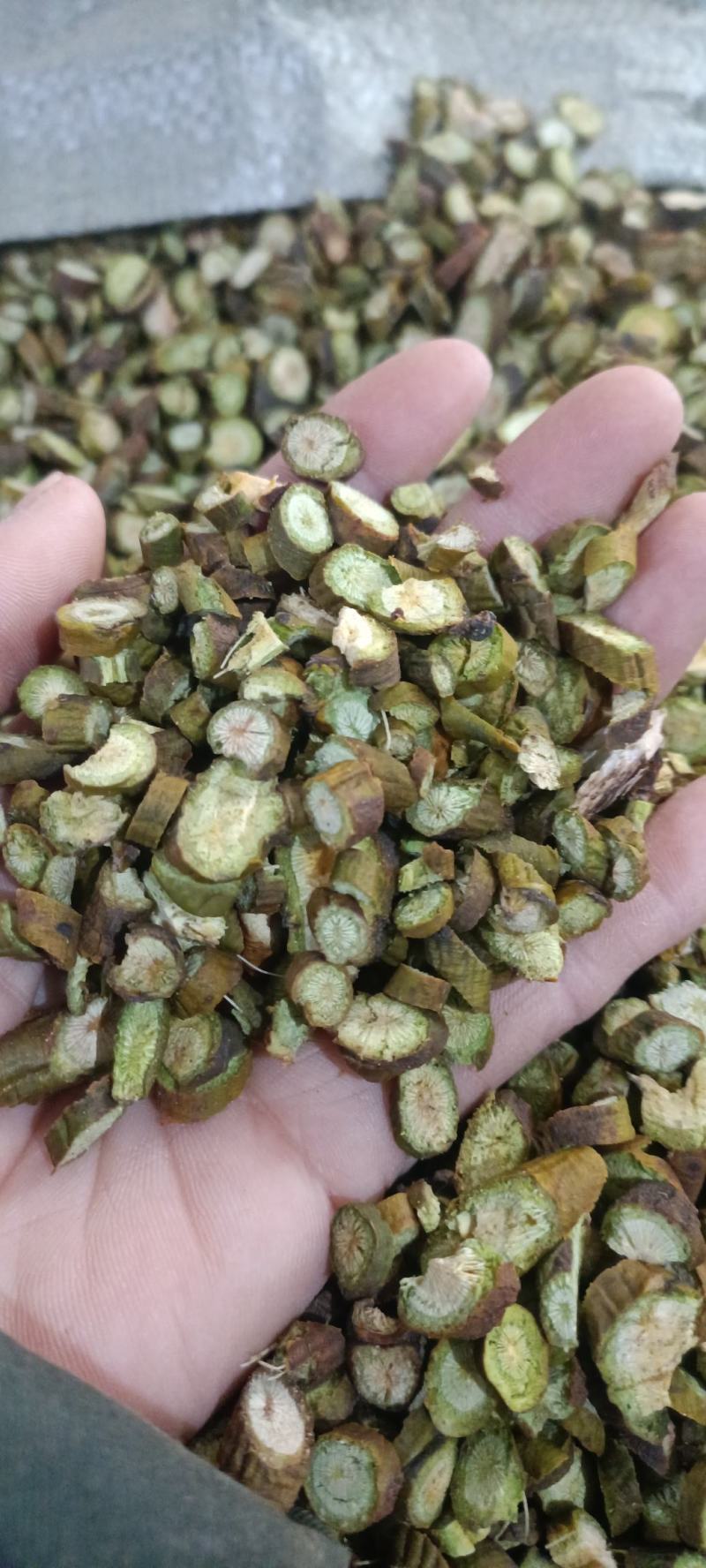 槲寄生，过筛，足干无杂质，货源充足，欢迎选购