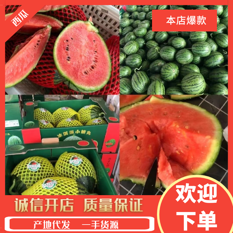 新货2k西瓜大量供应山东产地批发可视频一条龙服务
