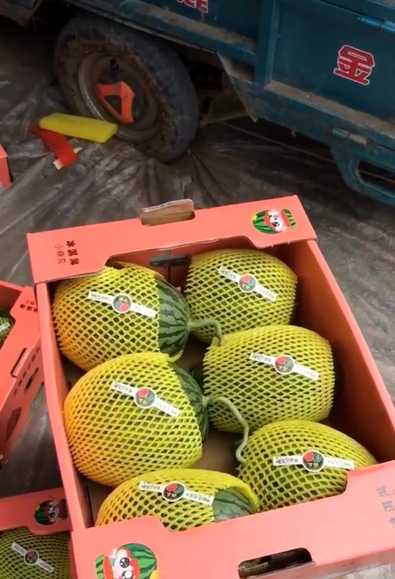 新货2k西瓜大量供应山东产地批发可视频一条龙服务