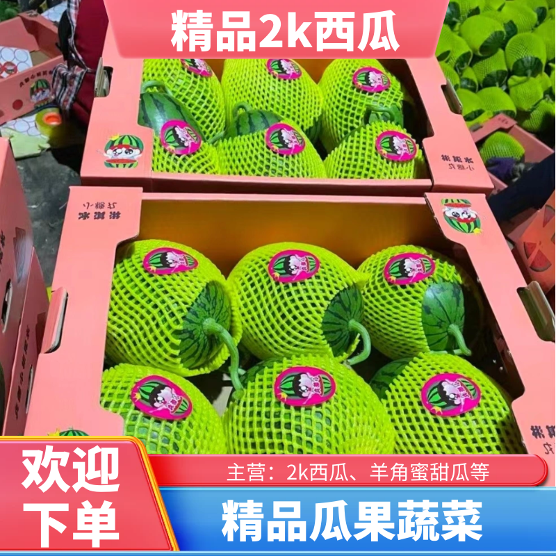 新货小糖丸西瓜大量供应糖度13～14、山东潍坊批发零