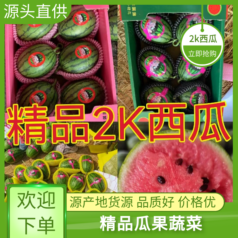 新货小糖丸西瓜大量供应糖度13～14、山东潍坊批发零