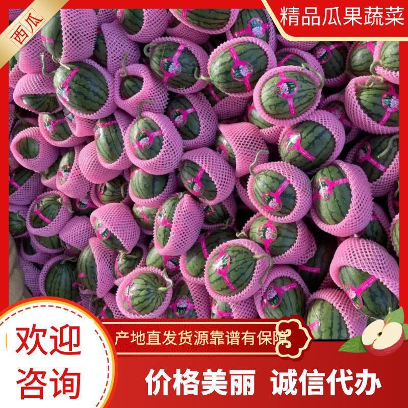 新货2k西瓜大量供应山东产地批发可视频一条龙服务