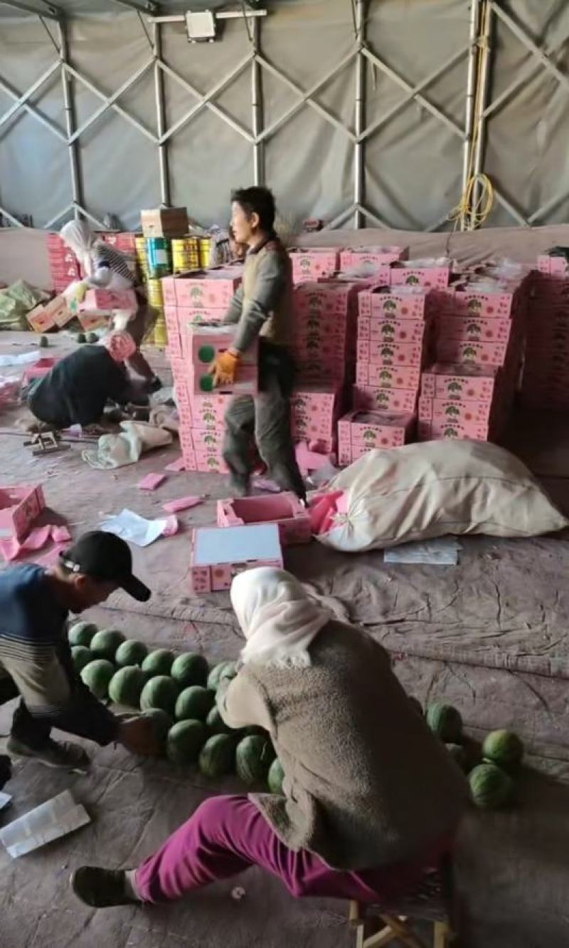 新货2k西瓜大量供应山东产地批发可视频一条龙服务