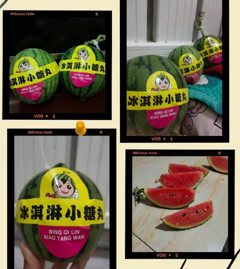 新货2k西瓜大量供应山东产地批发可视频一条龙服务
