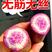广东沙地红薯[冰激凌红薯]粉糯香甜承接电商，市场品质保证