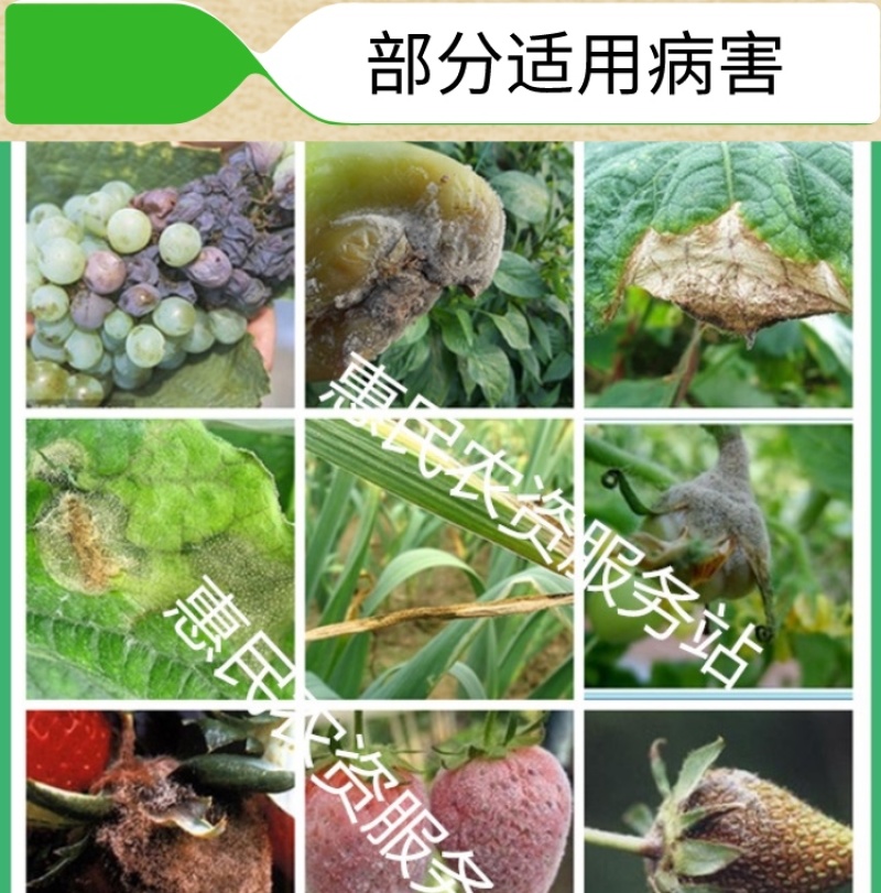 70%嘧霉胺农药杀菌剂葡萄草莓番茄灰霉病叶霉病